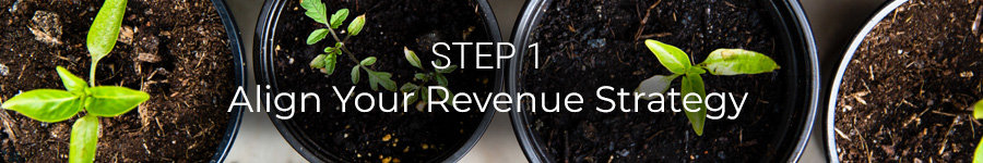 Step 1: Align Your Revenue Strategy