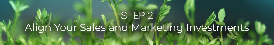 Step 2: Align Your Sales and Marketing Investments