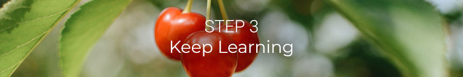 Step 3: Keep Learning